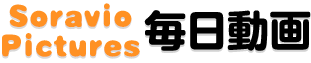 Soravio Pictures 毎日動画